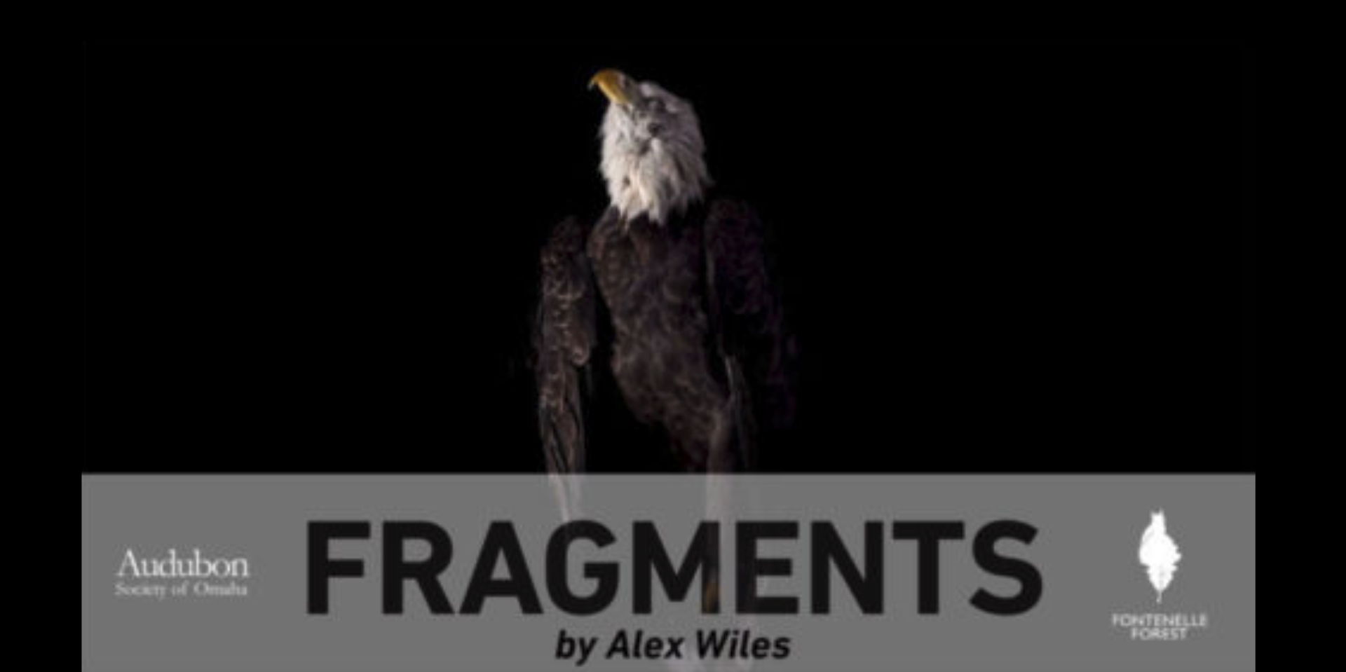 FRAGMENTS promotional image