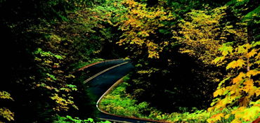 MacKenzie River Highway  Tour