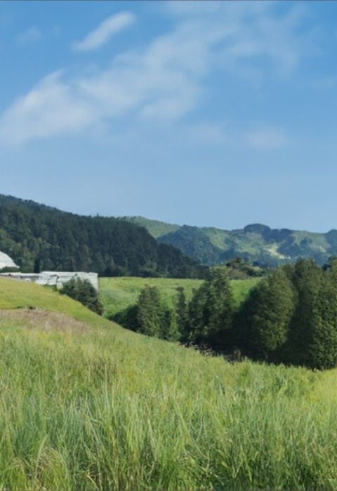 Technologie de l'environnement et du biogaz 