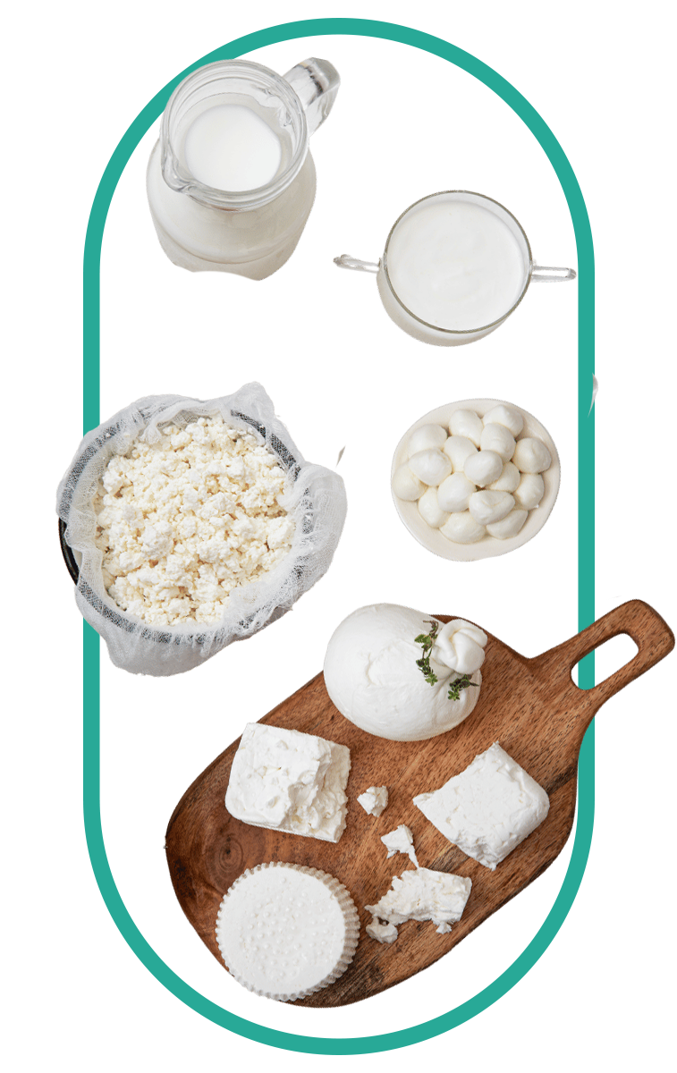 bundle of Ashwagandha as the main ingredient of Ashwagandha Dietary Supplement Singapore