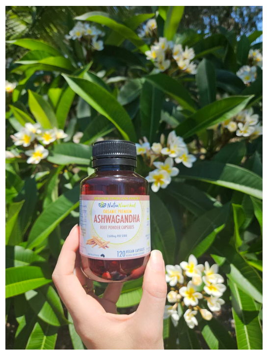 Screenshot 2025-01-06 070712