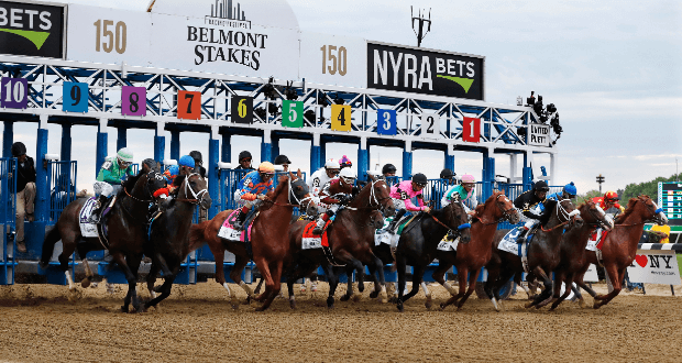 belmont park early odds
