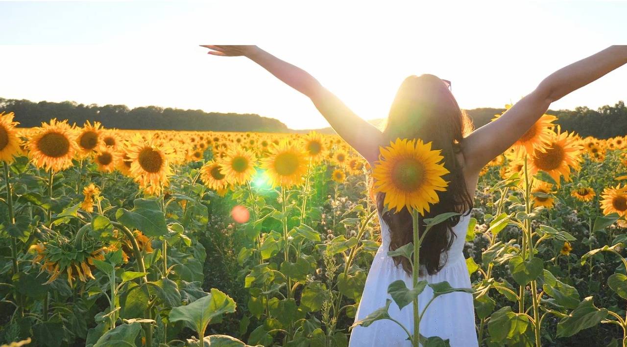 the brand image of a woman with an open arm in a sunflower field