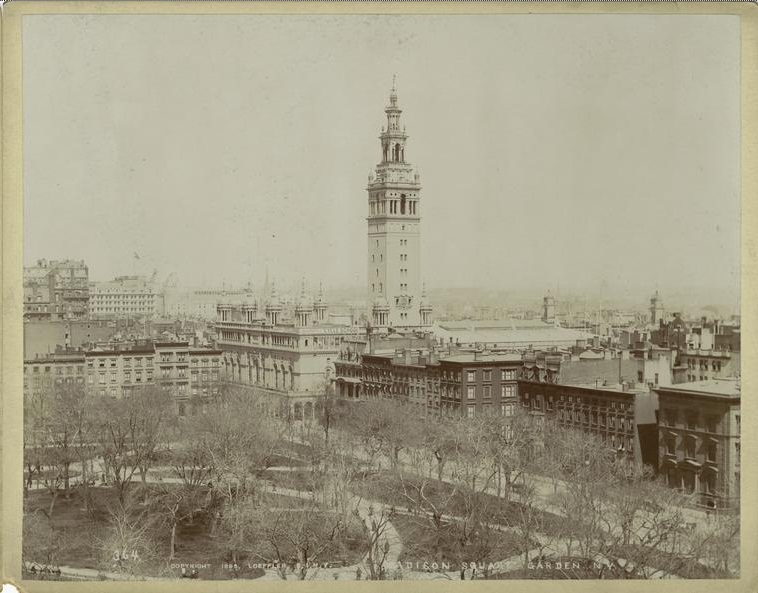 An old photograph of Whites Madison Square Garden, at the time the tallest building around.