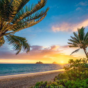 Our Hawaii Honeymoon Fund