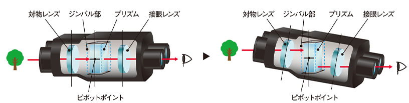 システム