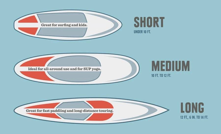 different sizes of paddle boards for different purposes
