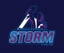 Heytesbury-Princetown Storm logo