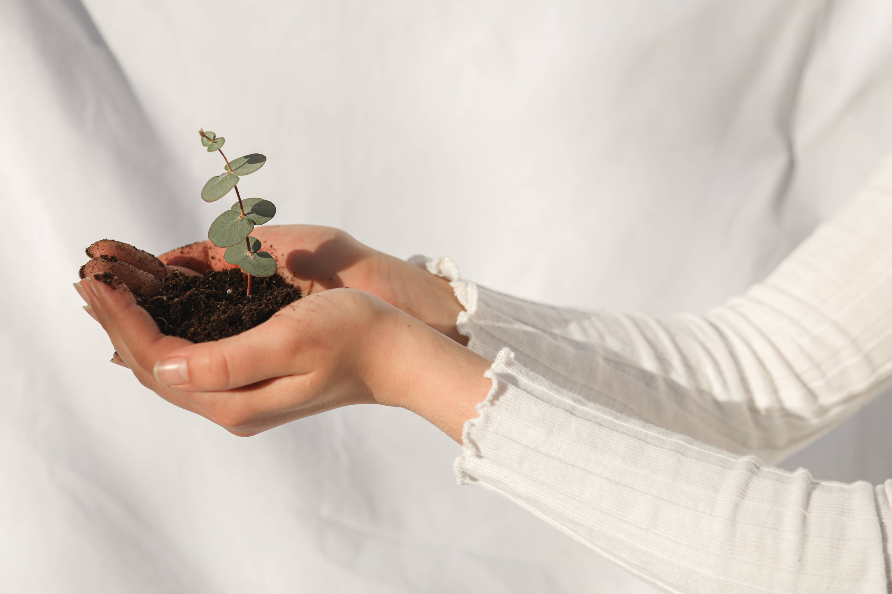 Sustainbility - Woman holding a plant with soil