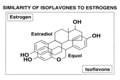 Similarity of Isoflavones to Estrogens Molecules | The Milky Box