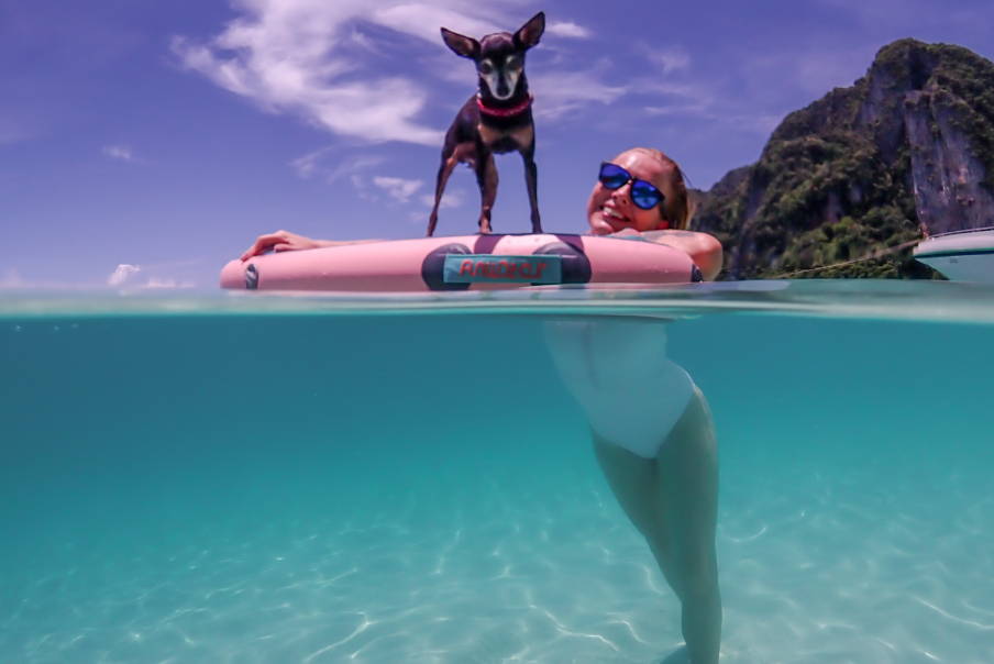 bodyboarding in Canada with dog