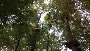 treetree hohe wackelbrücke
