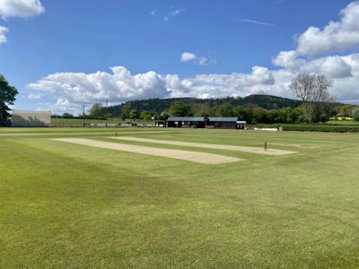 Burghill Tillington & Weobley Cricket Club Logo