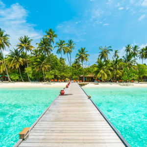 Honeymoon Fund