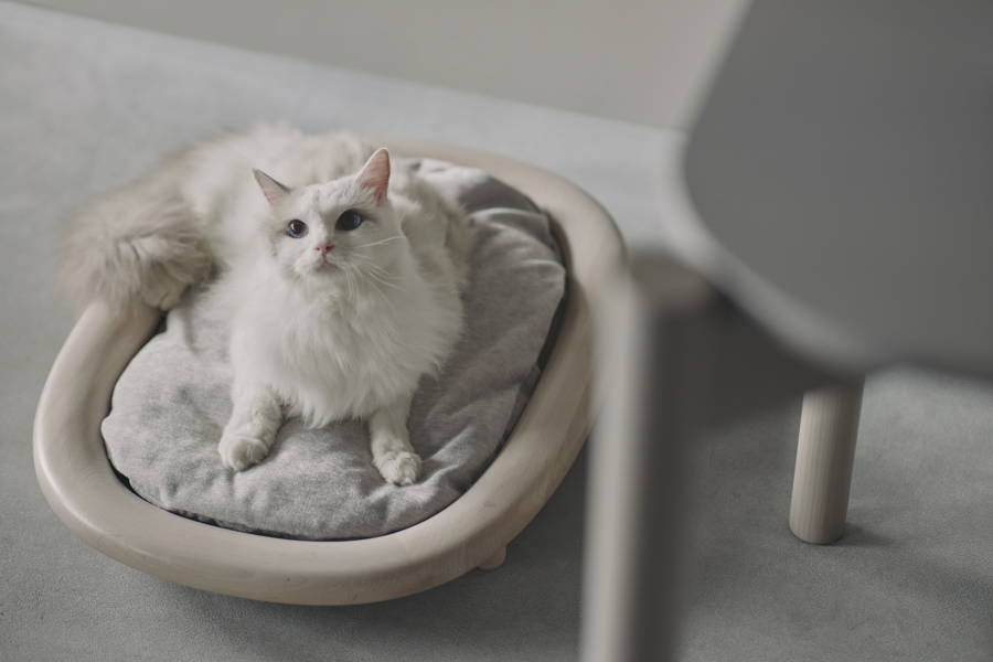 KARIMOKU CAT BED