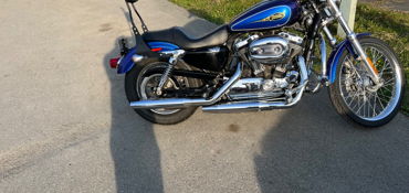 2009 HARLEY-DAVIDSON XL 1200L SPORTSTER LOW (CSTM PAINT) motorcycle for rent near Anchorage, AK
