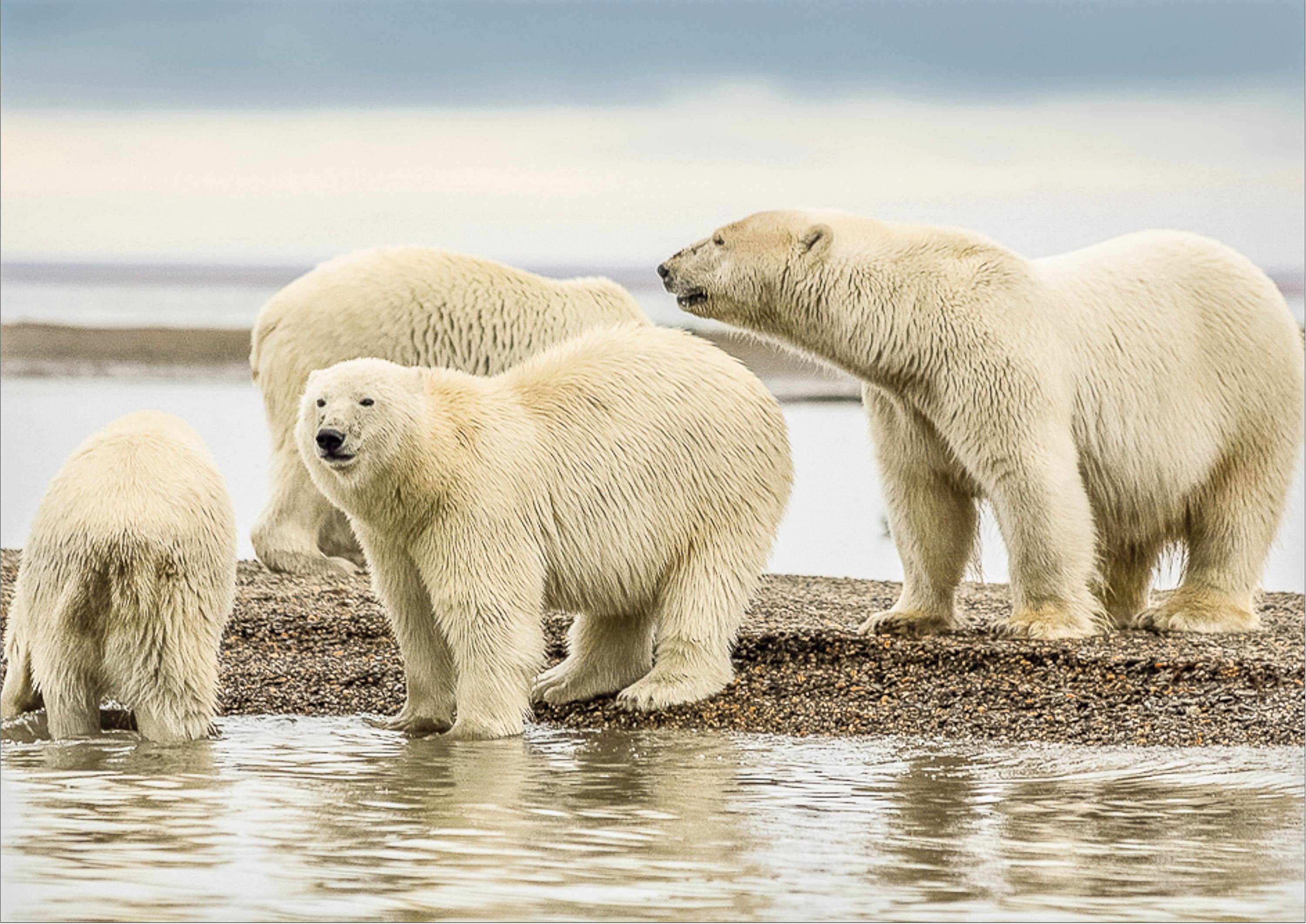 Climate change and global warming are pushing summer to extremes