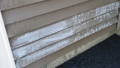 what to look out for when cleaning vinyl siding
