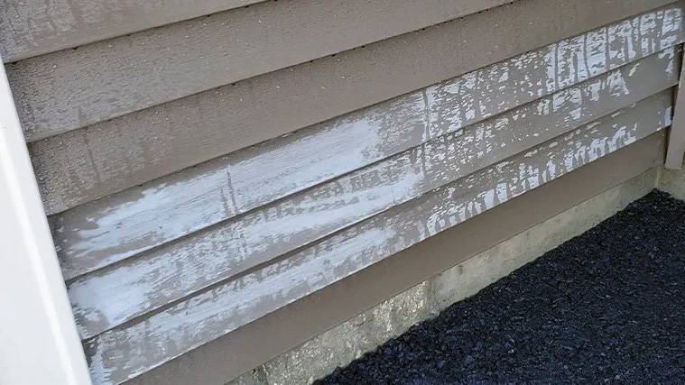 what to look out for when cleaning vinyl siding