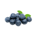 Resveratrol Supplement made from blueberries