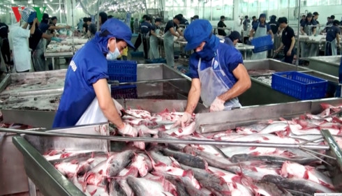 Aquatic exports earn USD1.1 billion in two months