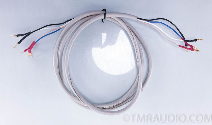 Tara Labs Prism 10ft  Bi-Wire Speaker Cable (Single) (1...