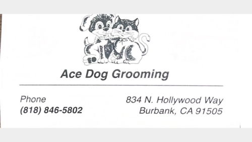 Ace Dog Grooming