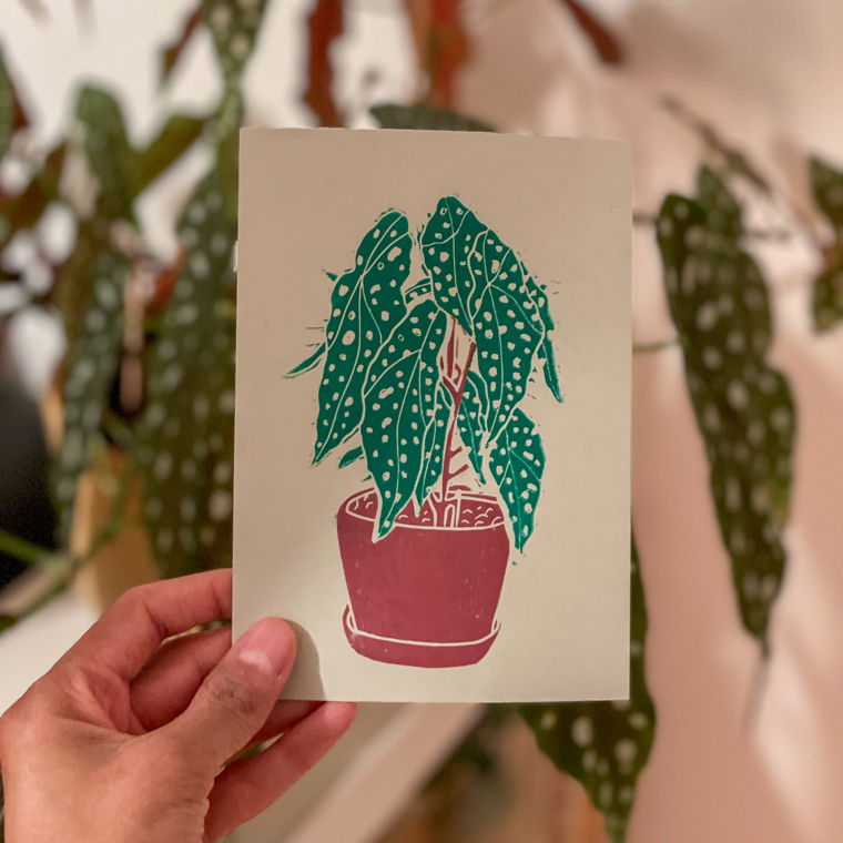 Lino print "Spots" - Begonia plant