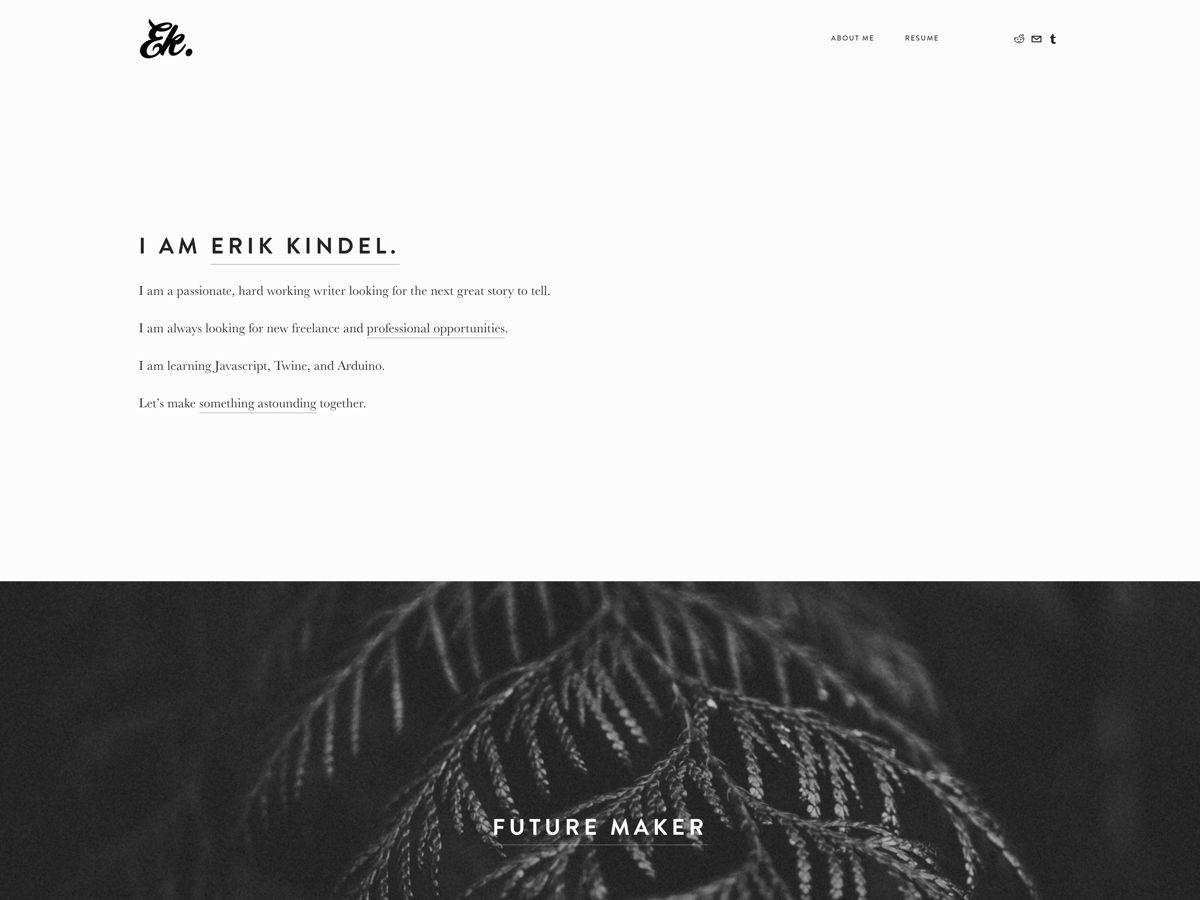 Screenshot of Erik Kindel, from the resume websites collection.