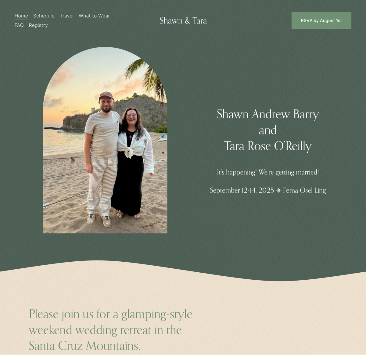 Screenshot of Shawn & Tara, from the wedding websites collection.