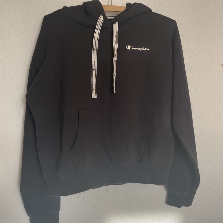 Thrifted Champion Hoodie - L on tag, sizes small