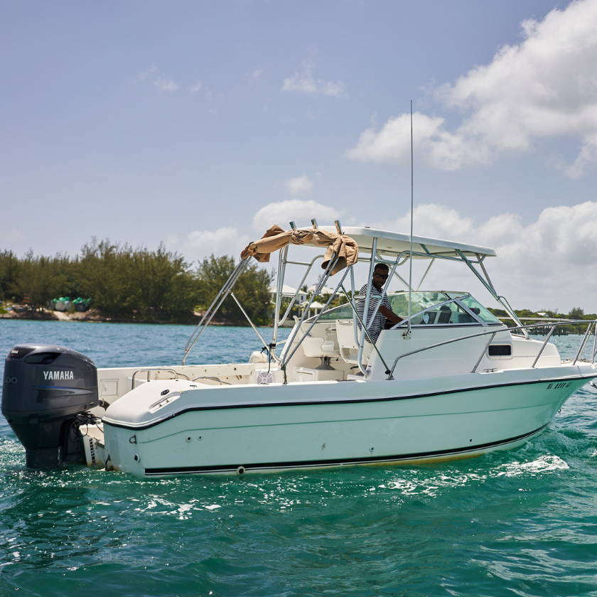 harbor island sailboat rentals