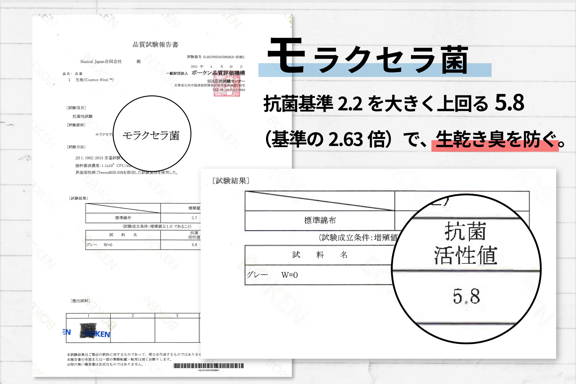 モラクセラ菌 黄色ブドウ球菌 抗菌活性値
