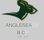 Anglesea Cricket Club Logo