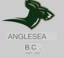 Anglesea Cricket Club logo