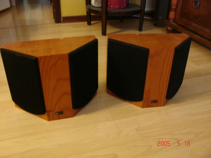 APERION AUDIO  INTIMUS 522D-SS DIPOLE SPEAKERS