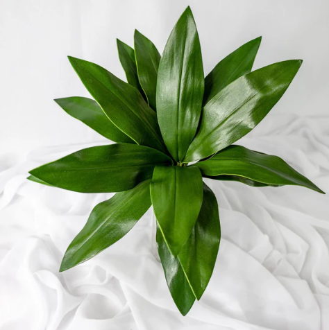 Mini Calla Leaf ( 12 Pack ) - Realistic Artificial Flowers and Greenery - Image 3