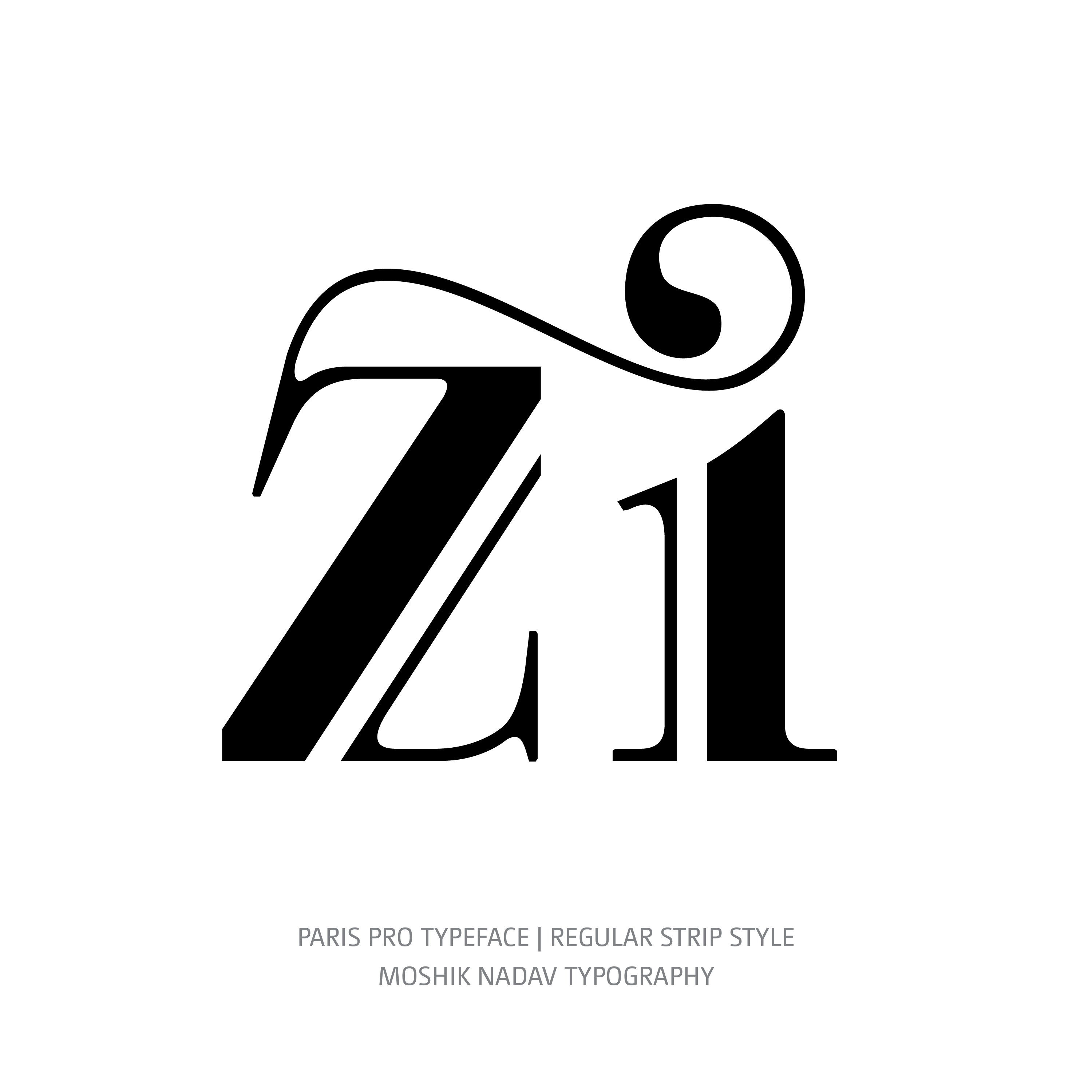 Paris Pro Typeface Regular Strip zi ligature