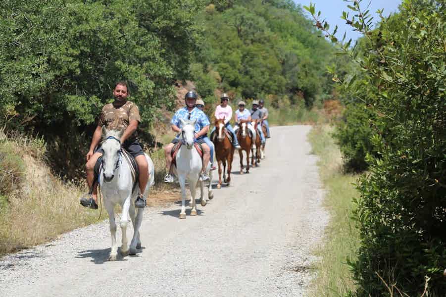 Bodrum: Horse Riding Experience with Forest or Seaside Route - photo 3
