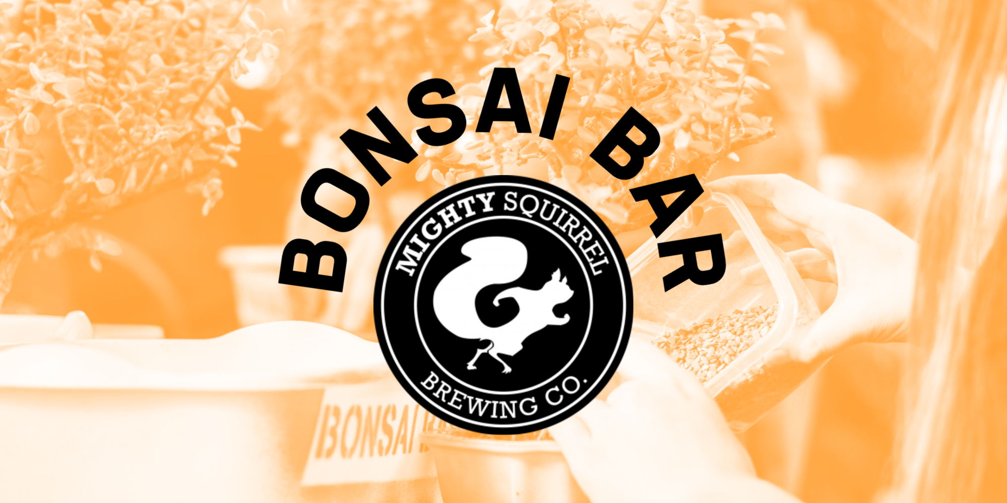 Bonsai Bar @ Mighty Squirrel promotional image