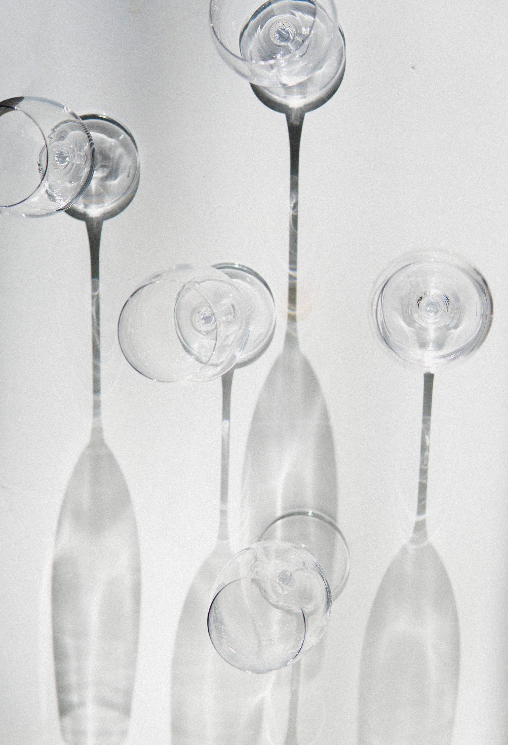 A Champagne glass filled with sparkling wine highlighting the slender shape to preserve bubbles.