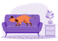 Health and Wellness Daily in Dogs