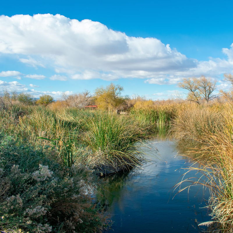 World Wetlands Day