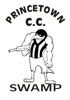 Princetown cricket club Logo