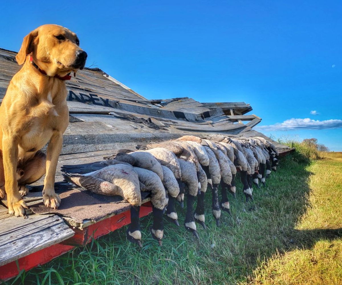 details-image