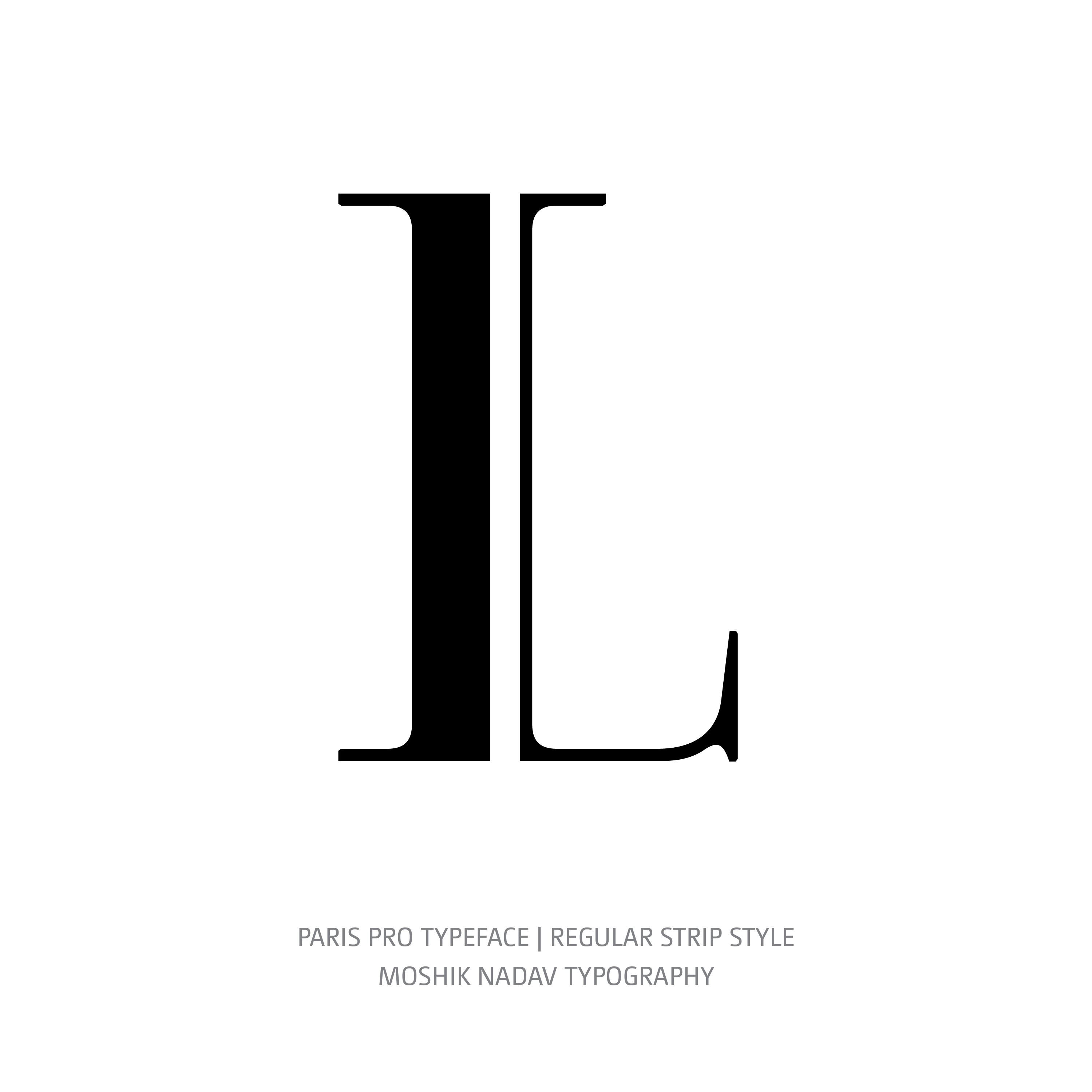 Paris Pro Typeface Regular Strip L