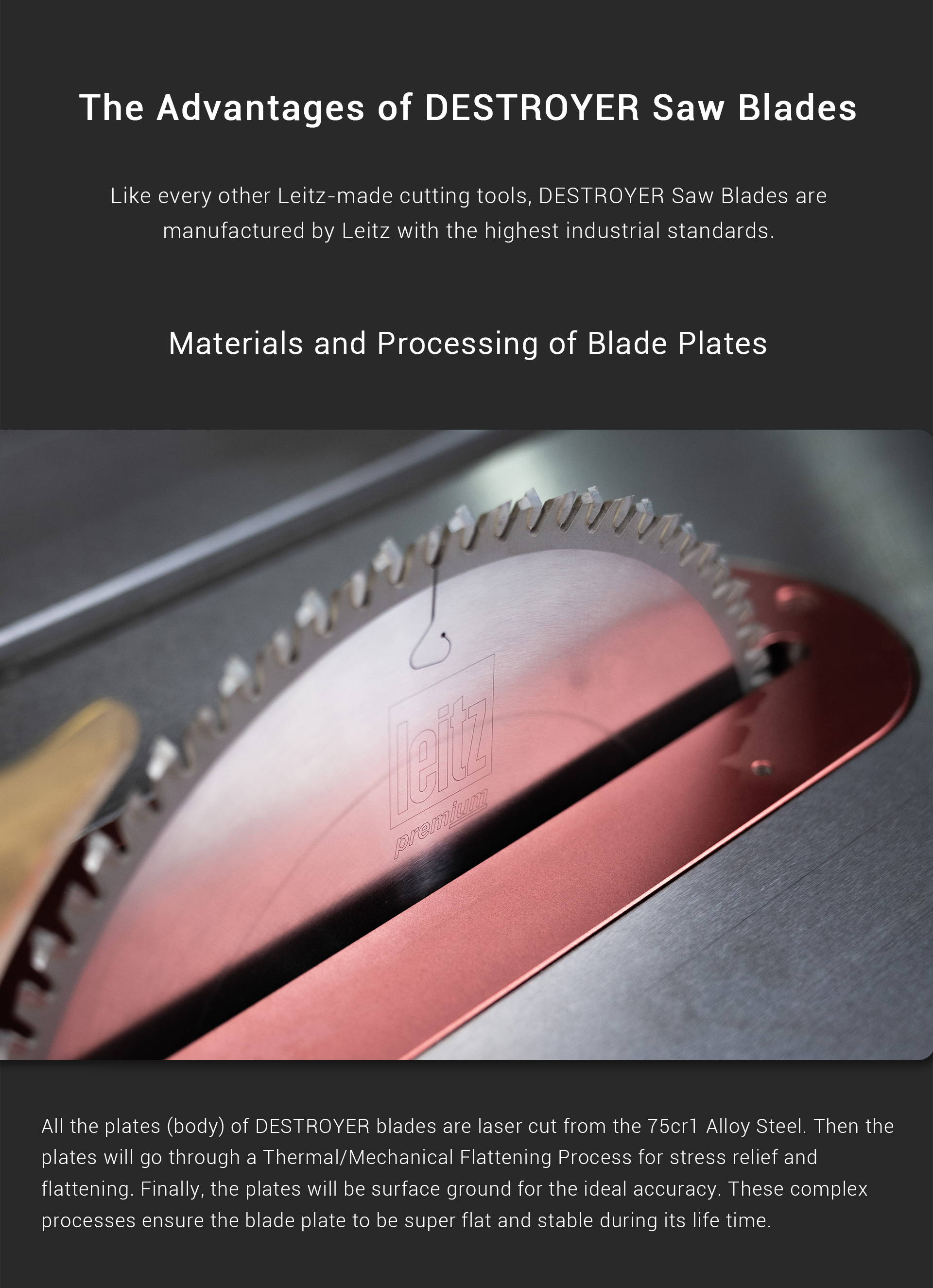 Specification Sheet for the 300N Rip Fence System Big Eye B-36 and Big Eye B-52