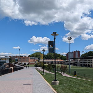 Towson University Student Emergency and Food Insecurity Fund