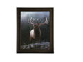 Mountain Music Elk Giclee by Jay Kemp                                      