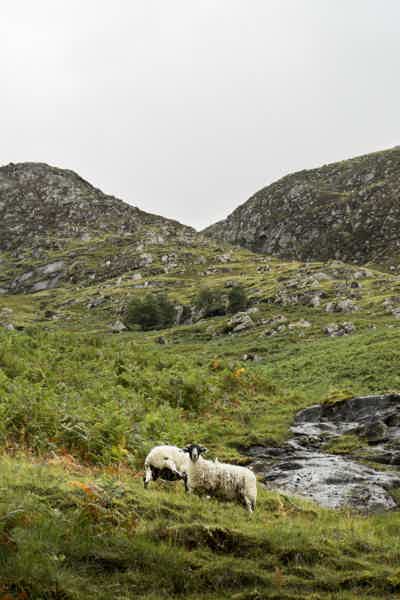 Scottish Highlands, Loch Ness, Glencoe & Fort William - photo 3